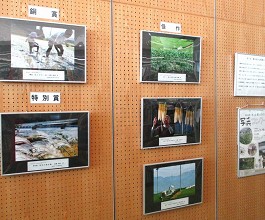 中央館コラボ展示「水・土・里ふるさと写真コンクール」の様子