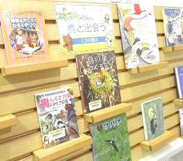 中央館5月『鳥と出会う』のテーマ展示の様子