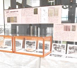 中央館「ロビーで文化財」展示の様子