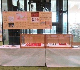中央館「ロビーで文化財」の展示の様子