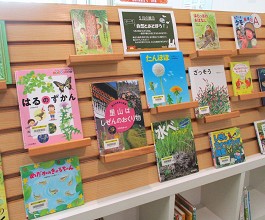 中央館5月『自然とあそぼう！』の展示の様子
