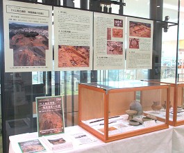 中央館「ロビーで文化財」展示の様子